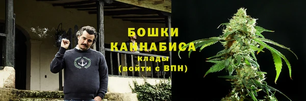 хмурый Бронницы