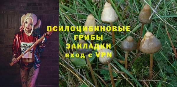 прущая мука Бородино