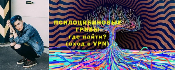 прущая мука Бородино