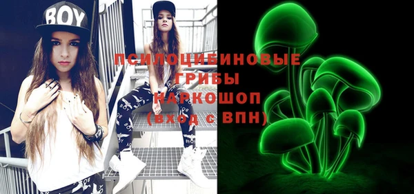 хмурый Бронницы