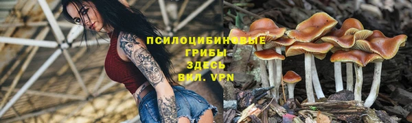 бошки Бугульма