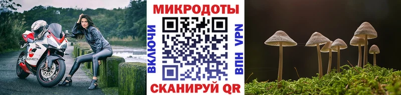 mega зеркало  Новохопёрск  Псилоцибиновые грибы мухоморы  где найти наркотики 