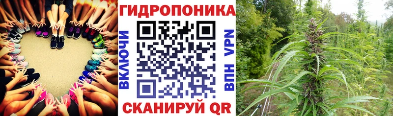 Конопля тримм  даркнет сайт  Новохопёрск 